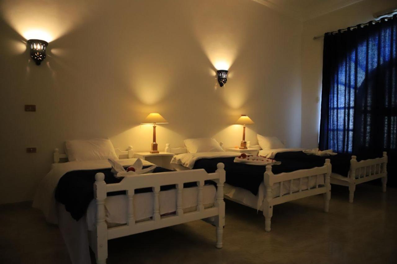 Oasis Guest House Louxor Extérieur photo